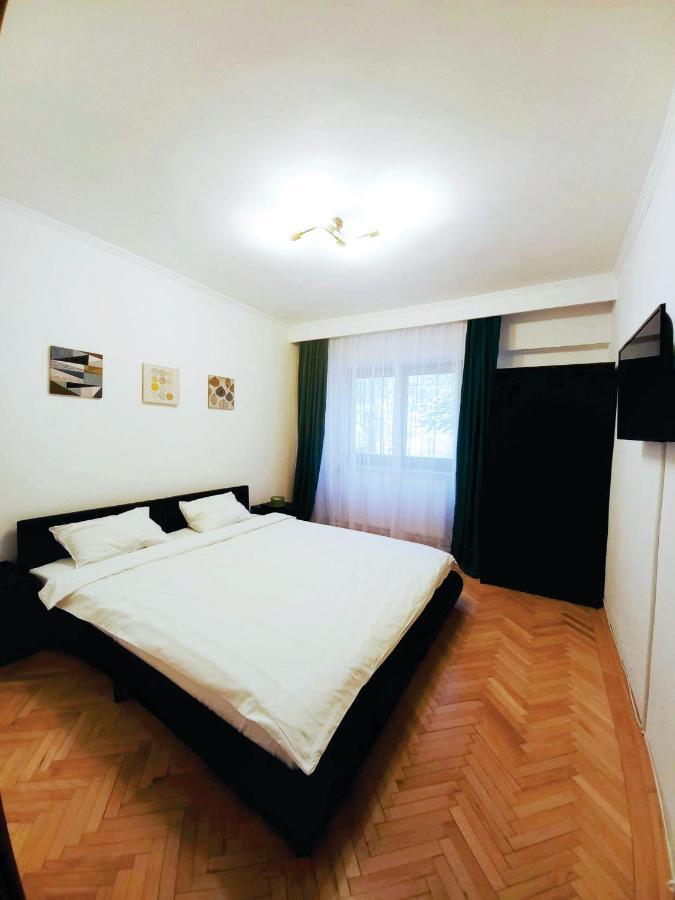 Апартаменти Vero Apartament Central Rm Valcea Римніку-Вилча Екстер'єр фото